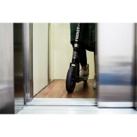 Frenzy 230mm Freizeit Scooter mit Luftbereifung Black